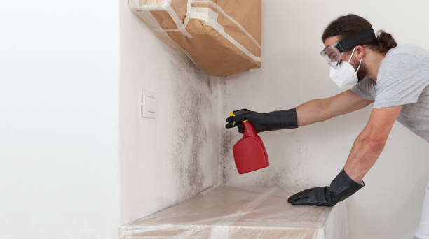 Professional Mold Remediation technician working in Fort Lee, VA