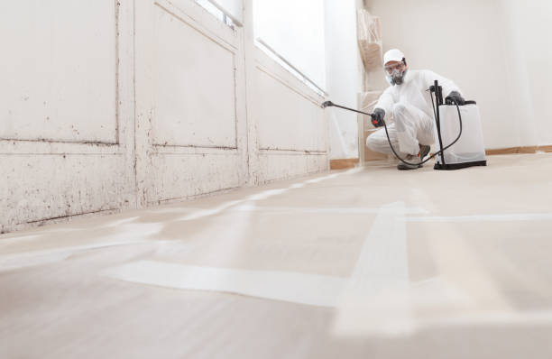 24/7 Emergency Mold Remediation experts in Fort Lee, VA