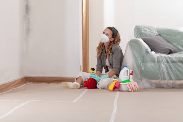 Reliable Mold Remediation contractor in Fort Lee, VA by 24 Hour Mold Removal