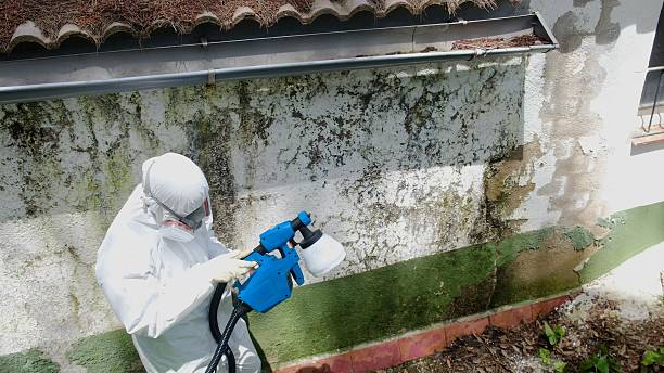 Top rated local Mold Remediation specialists in Fort Lee, VA